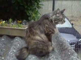 Miss toute mimie !!! Et Calinou.