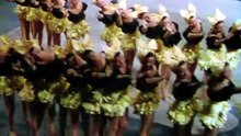 Carmen Miranda: Bananas Is My Business (1995)
