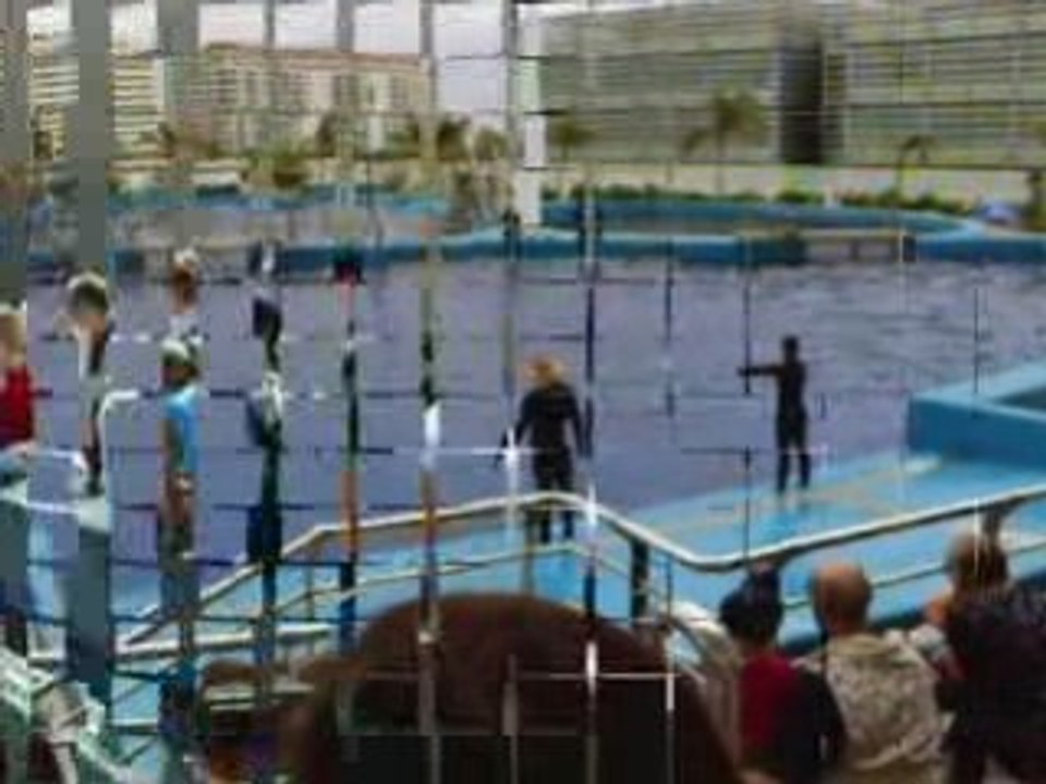Valencia 2008
