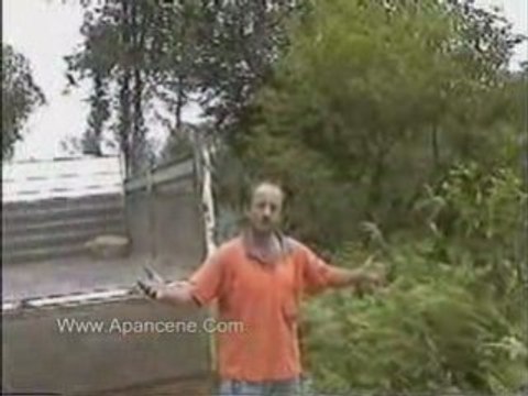 Zeki Yılmaz Gelin Oldun Apancene Star