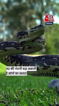 घर की ये आम गलतियां बढ़ा सकती हैं सांपों का खतरा, तुरंत हो जाएं सतर्क