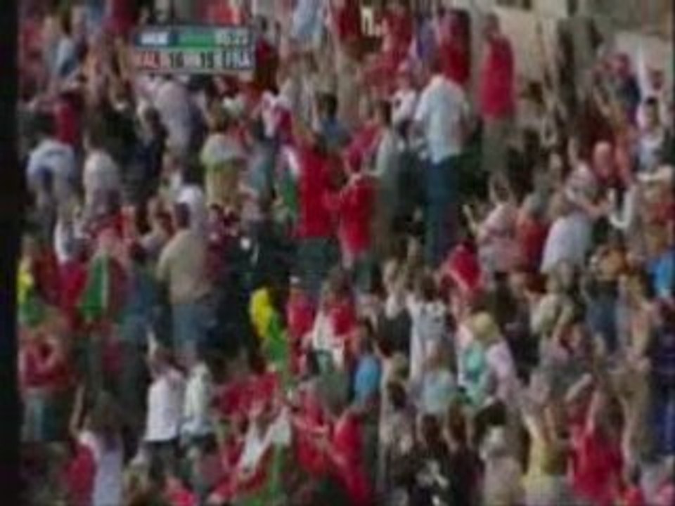 Pays de Galles / France