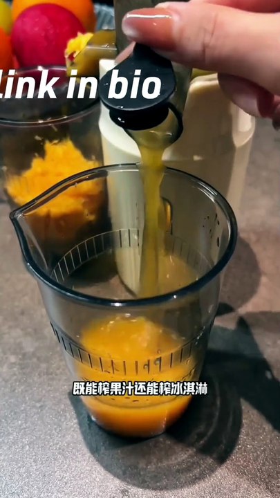 Zoominstant Compact Electric Slow Juicer