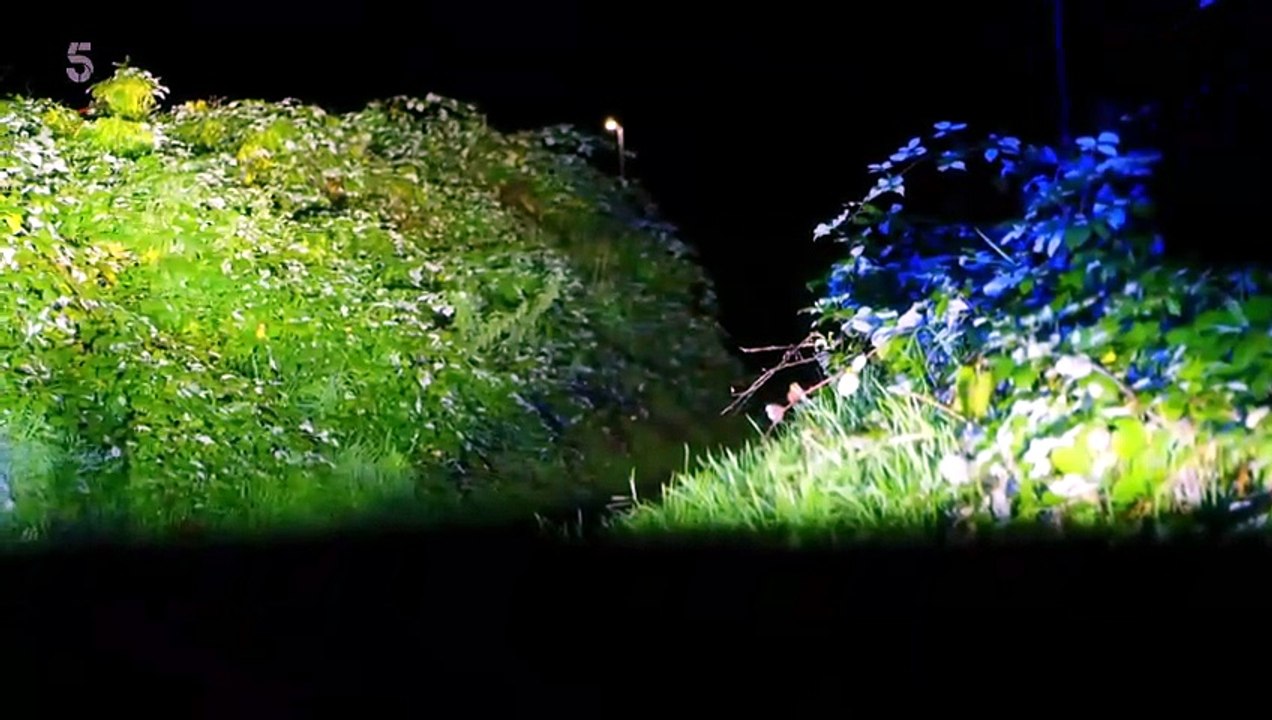 Police Interceptors S25E05