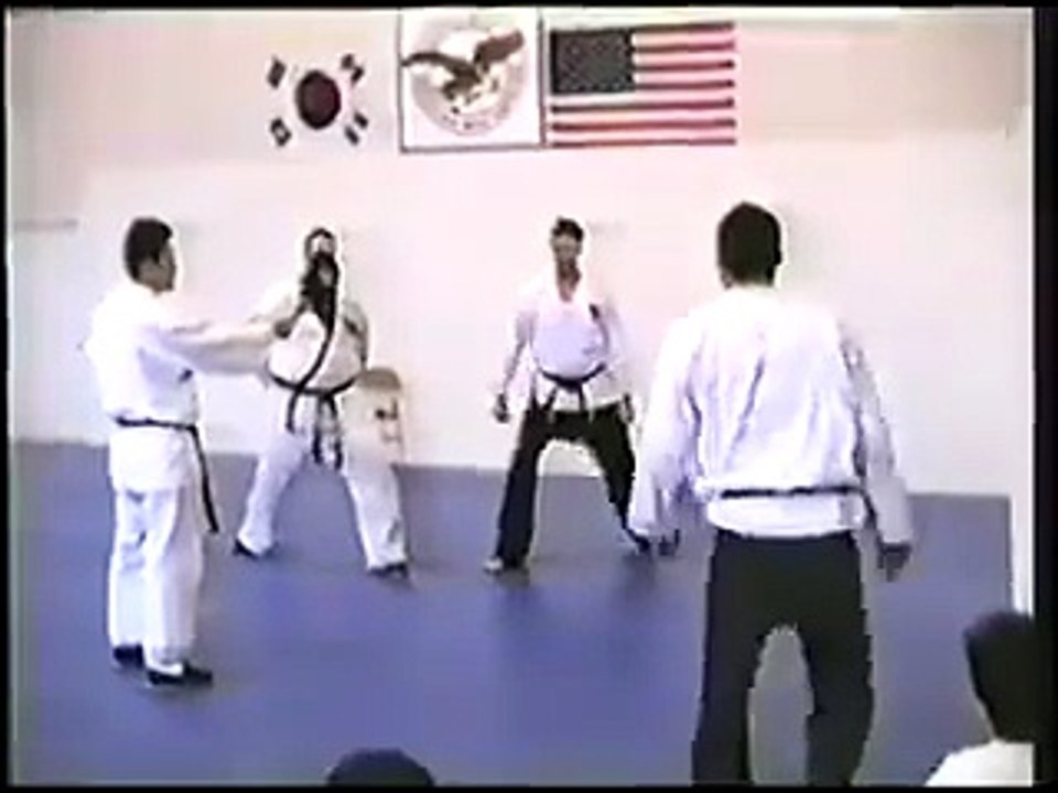 Sin Moo Hapkido Seminar