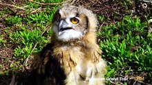 Wild Child S06E22