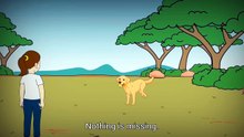 The BitterSweet Reality Of A Dog's Beautiful Journey... 🐾