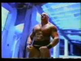 The Rock promo on Triple H & Brock Lesnar and Pau Heyman