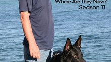 A New Life in the Sun - Season 11 - Episode 30 Eng Sub