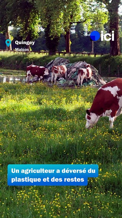 Un agriculteur déverse des tas de plastique dans ses champs pour lutter contre le castor