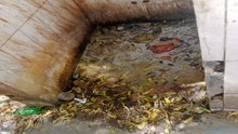 swm news: यहां सार्वजनिक शौचालयों का अटका टेंडर, गंदगी दिखा रही आइना