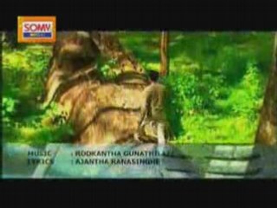Daasama Riddana - Nelu Adhikari   Rookantha
