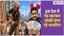 कनाडा में पेड़ काटने वालों की कमाई सुन उड़ जाएंगे होश!
