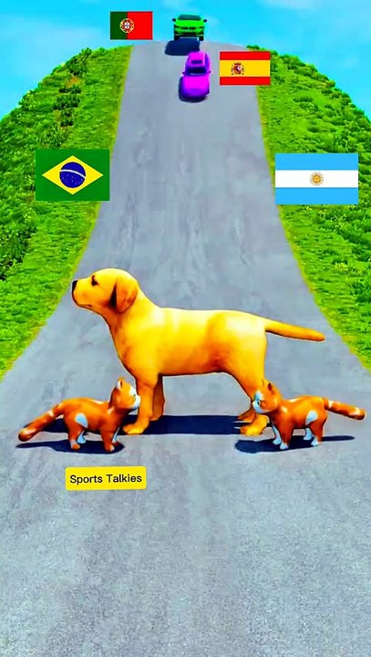 Fifa World Cup Funny Video