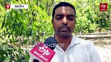 मध्य प्रदेश में शुरू हो गया है नौतपा, जरूर कर लें ये सभी काम, होगा लाभ ही लाभ