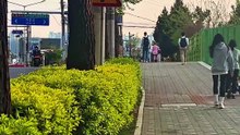 Part 6: Walking on Hangang-Daero in Seoul, South Korea #SeoulKorea #Seoul #VisitKorea #서울