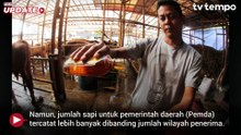 Prabowo Salurkan 1.098 Sapi Kurban ke Berbagai Daerah dan Lembaga
