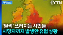 [자막뉴스] 5월에 40도 치솟은 유럽...열돔'에 갇힌 채로 결국 사망자 속출 / YTN