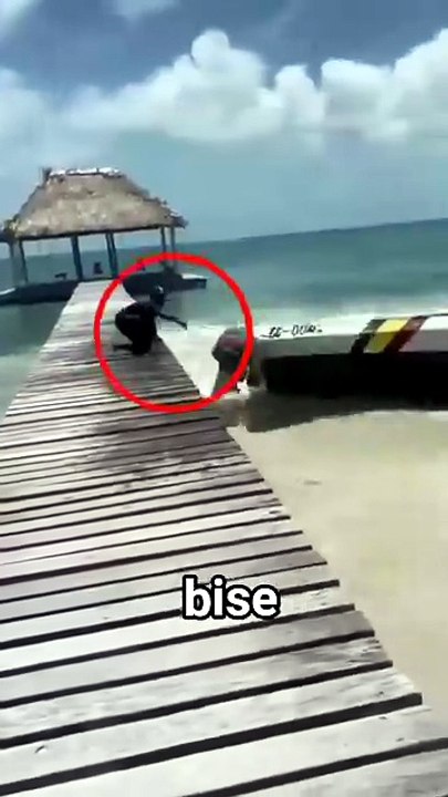 Boat Gone Crazy in Belize  Engine Full Throttle Stuck_ Guy Just Watches It Crash(720P_HD)