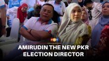 Amirudin replaces Nurul Izzah as PKR election director