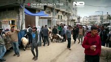 Gaza: deslocados enfrentam Eid al-Adha sombrio com guerra e preços em alta