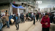 نازحو غزة يستعدون لعيد أضحى قاتم وسط الحرب وارتفاع الأسعار