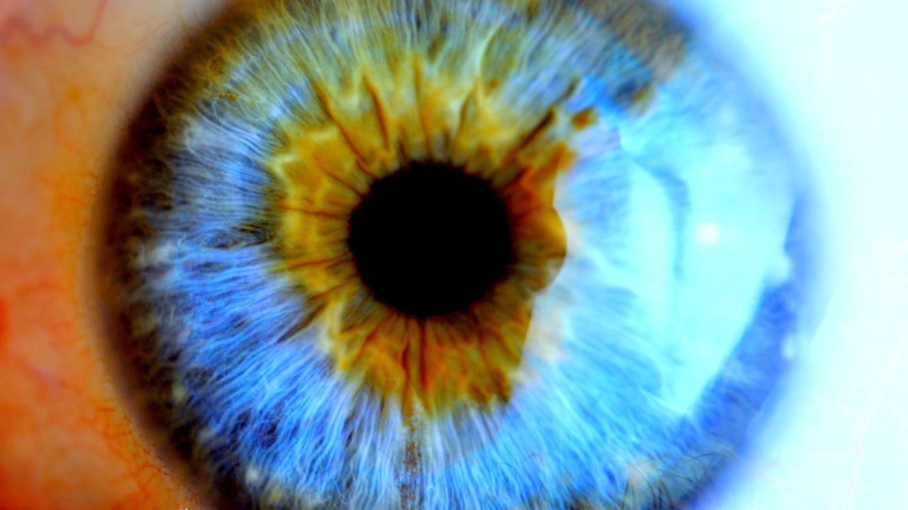 Reality vs. Hollywood: The Real Story of Hallucinations