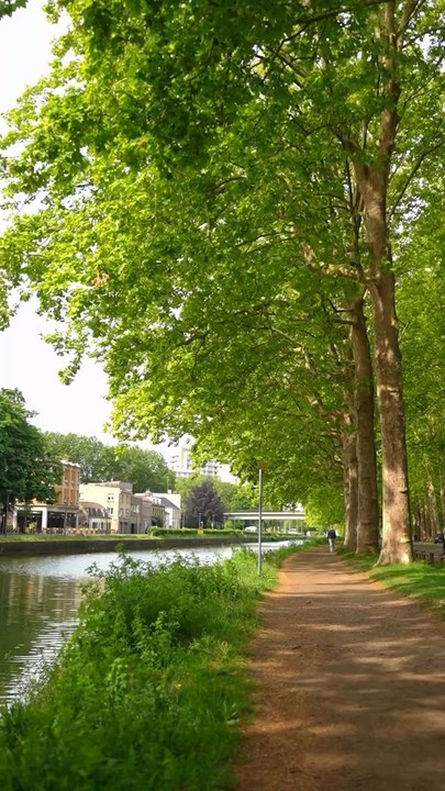 Pas étonnant que tous les coureurs de Lille se donnent rdv ici, avec le retour des beaux jours c’est parfait 😉📍Citadelle de Lille💾 Enregistre ce post pour ta prochaine sortie en plein air #nablezon #lille #parc #nature
