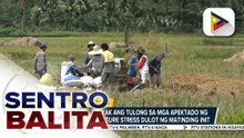 Pamahalaan, tiniyak ang tulong sa mga apektado ng agricultural moisture stress dulot ng matinding init