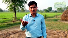 बस 1 अंडा रोज खा लो, फिर जो होगा देखकर यकीन नहीं करोगे | Egg Benefits Explained| #egg #farming