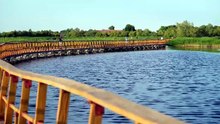 El río Cigüela mantiene inundadas Las Tablas de Daimiel tras aportar 13 hectómetros cúbicos