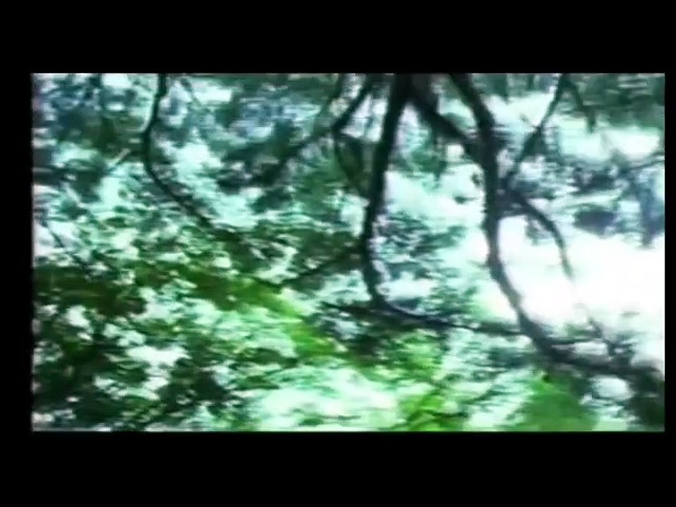 いそげ唯! 悪魔の住む森の激闘  放送日：昭和62年9月17日やめて唯! 父さんを殺さないで  放送日：昭和62年9月24日長いお別れ もう一人の唯の死   放送日：昭和62年10月8日