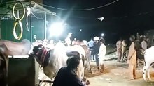 Animal market Asia