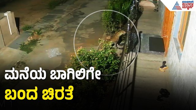 Vijayanagara: ಹಂಪಿಯಲ್ಲಿ ಚಿರತೆ ಪ್ರತ್ಯಕ್ಷ, ಸಿಸಿಟಿವಿಯಲ್ಲಿ ಸೆರೆಯಾದ ಭೀಕರ ದೃಶ್ಯ | Leopard Terror in Hampi