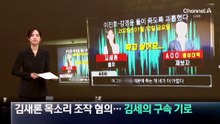 김새론 목소리 조작 혐의…김세의 구속 기로
