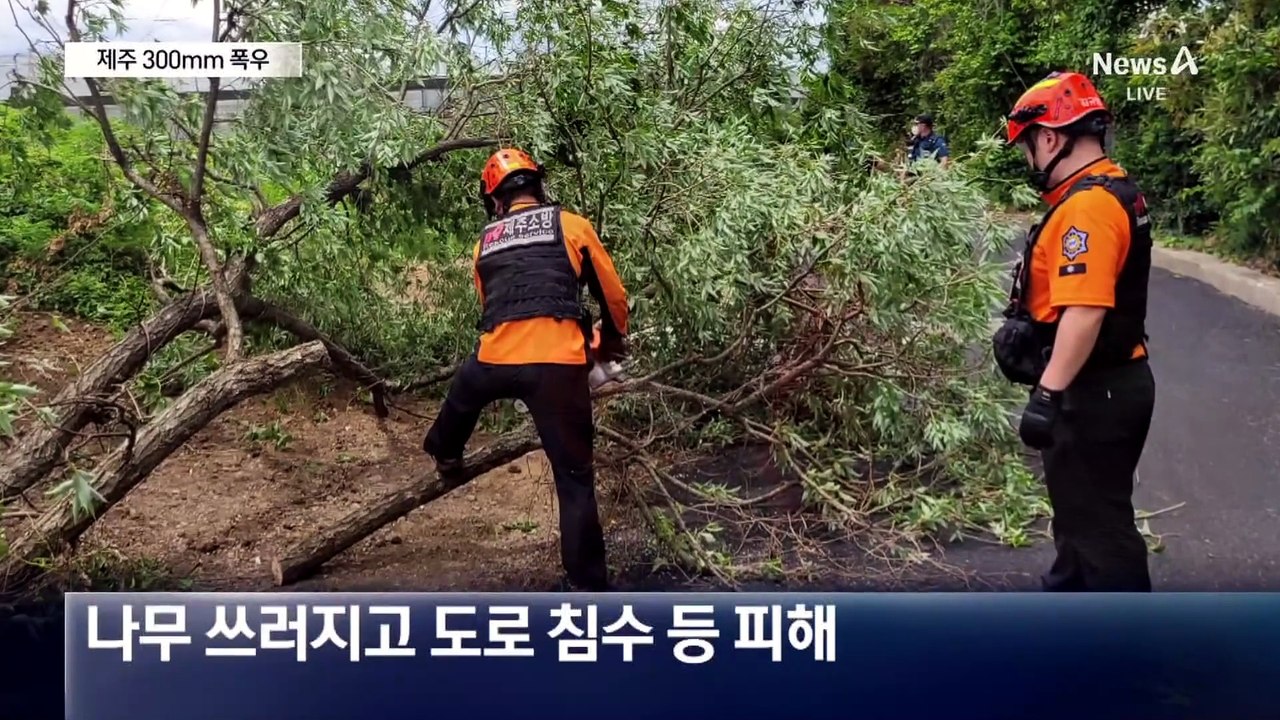 300mm 폭우…오늘 밤 비바람 전국 확대
