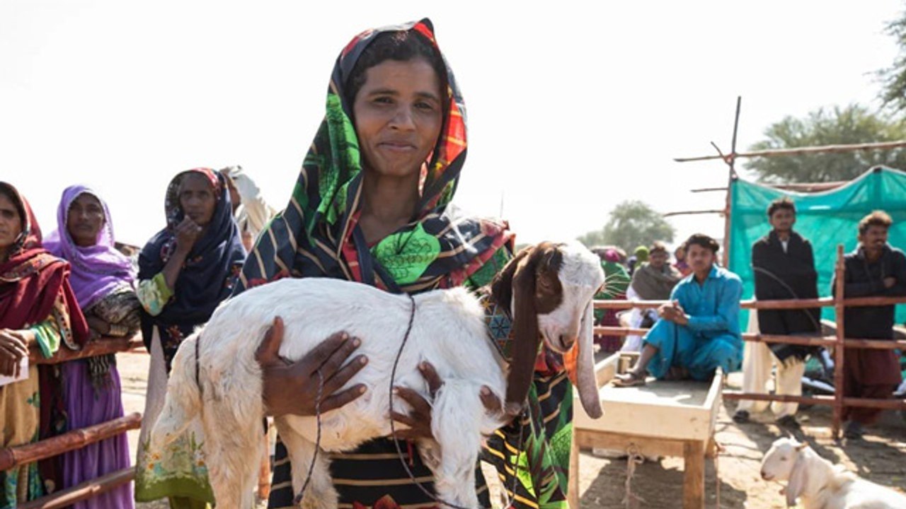 Eid Al Adha 2026: Aurat Par Qurbani Wajib Hai Ya Nahi | Kiya Aurat Bhi Qurbani Kar Sakhti Hai ?