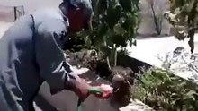 Man helps exhausted bird during extreme heat in heartwarming viral moment