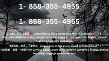 【ALL-IN-ONE】℠ [*List] of Coinbase Toll Free nUmbers in the USA: The Ultimate Explained Guide