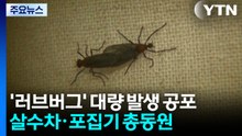 [경기] '러브버그' 대량 발생 공포에...살수차·포집기 총동원 / YTN