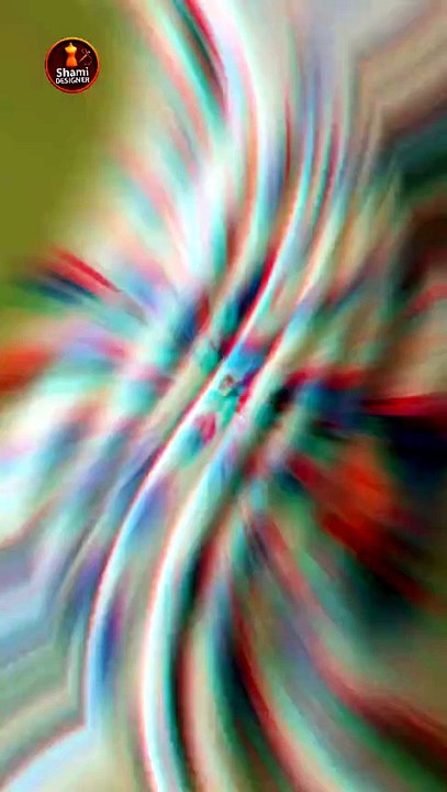 VID-20260526-WA0001