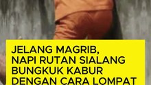 Jelang Magrib, Napi Rutan Sialang Bungkuk Kabur dengan Cara Lompat Tembok