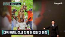 [김종석의 리포트]목숨 건 사진 촬영…호랑이 학대 논란