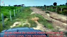 FAZENDA COM 55 ALQUEIRÃO A VENDA CMC