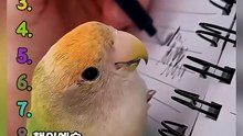 소리를 확인하지 마세요