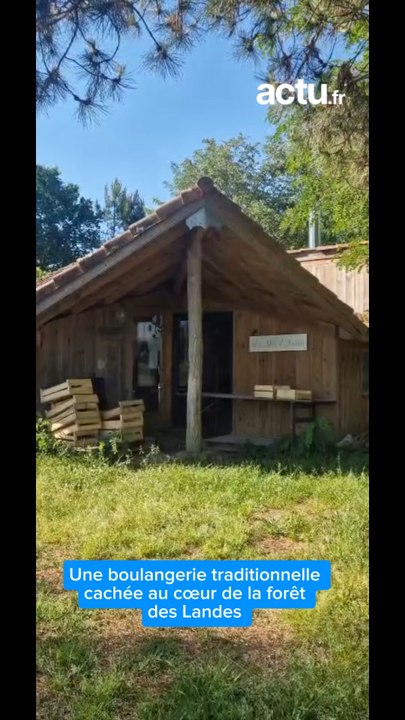 Dans les #Landes, Amélie fabrique du pain avec des semences anciennes au cœur de la forêt.