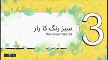 May 27 2026 Balance Your Thyroid Naturally & Calm Your Nerves Instantly 🌿🧠 Hammad hanif @Kismatastro
