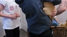 Children Greet a New Puppy After an Emotional Pet Loss
