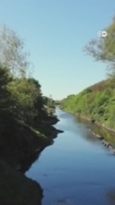 How this filthy river made a comeback