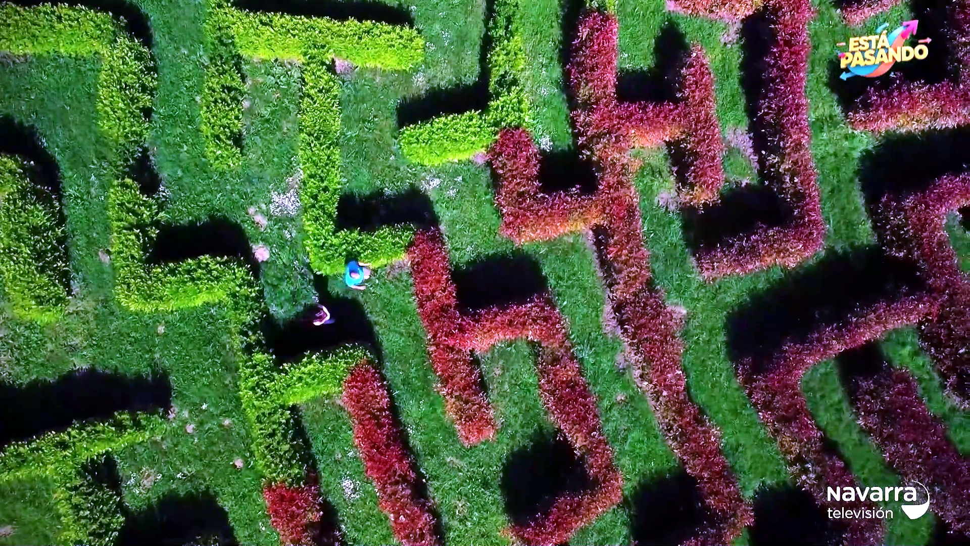 El laberinto vegetal de San Fermín a todo color